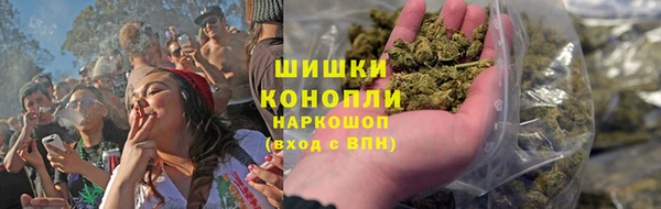 ПСИЛОЦИБИНОВЫЕ ГРИБЫ Арсеньев