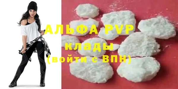 стафф Аркадак