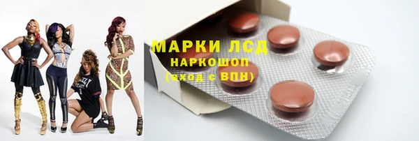 ПСИЛОЦИБИНОВЫЕ ГРИБЫ Арсеньев