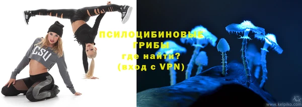 ПСИЛОЦИБИНОВЫЕ ГРИБЫ Арсеньев