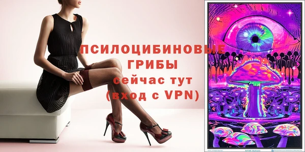 ПСИЛОЦИБИНОВЫЕ ГРИБЫ Арсеньев