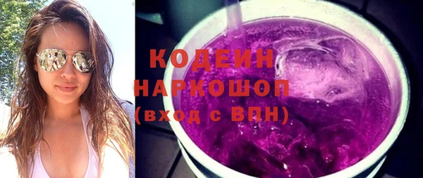 ПСИЛОЦИБИНОВЫЕ ГРИБЫ Арсеньев