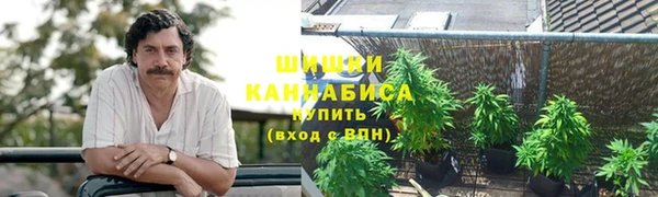 ПСИЛОЦИБИНОВЫЕ ГРИБЫ Арсеньев