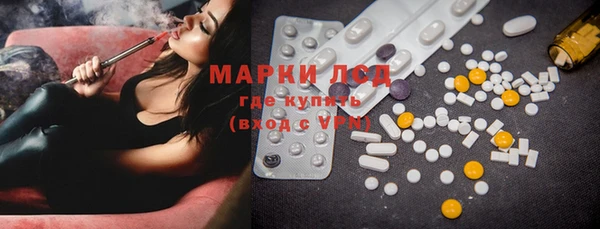 стафф Аркадак