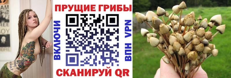 Галлюциногенные грибы Cubensis  где купить наркоту  ОМГ ОМГ   Семёнов 